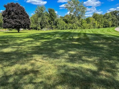 Discover the comfort and charm of 570 Port Sheldon St. SW on Sunnybrook Country Club in Michigan - for sale on GolfHomes.com, golf home, golf lot