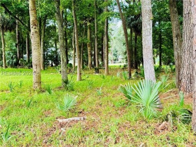 Unbeatable price and location! This approximate 1/2 acre lot is on Haig Point Golf Club in South Carolina - for sale on GolfHomes.com, golf home, golf lot