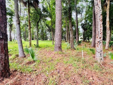 Unbeatable price and location! This approximate 1/2 acre lot is on Haig Point Golf Club in South Carolina - for sale on GolfHomes.com, golf home, golf lot