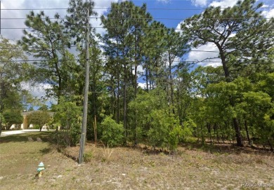 Discover the potential of this expansive 1.01-acre land parcel on Pine Ridge Community Golf and Country Club in Florida - for sale on GolfHomes.com, golf home, golf lot