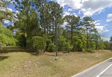 Discover the potential of this expansive 1.01-acre land parcel on Pine Ridge Community Golf and Country Club in Florida - for sale on GolfHomes.com, golf home, golf lot