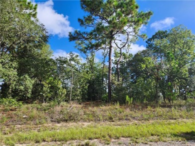 Don't miss out on the opportunity to build your Dream home on on Citrus Springs Country Club in Florida - for sale on GolfHomes.com, golf home, golf lot