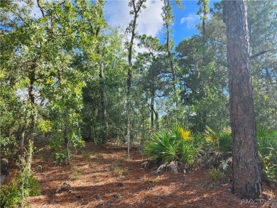 Don't miss out on the opportunity to build your Dream home on on Citrus Springs Country Club in Florida - for sale on GolfHomes.com, golf home, golf lot