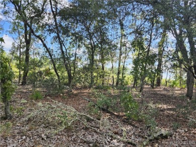 Don't miss out on the opportunity to build your Dream home on on Citrus Springs Country Club in Florida - for sale on GolfHomes.com, golf home, golf lot