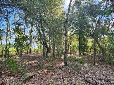 Don't miss out on the opportunity to build your Dream home on on Citrus Springs Country Club in Florida - for sale on GolfHomes.com, golf home, golf lot