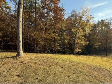 Beautiful Golf-Front Lot on the 15th Fairway - Hot Springs on Diamante Golf and Country Club in Arkansas - for sale on GolfHomes.com, golf home, golf lot