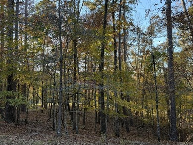 Beautiful Golf-Front Lot on the 15th Fairway - Hot Springs on Diamante Golf and Country Club in Arkansas - for sale on GolfHomes.com, golf home, golf lot