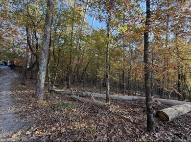 Beautiful Golf-Front Lot on the 15th Fairway - Hot Springs on Diamante Golf and Country Club in Arkansas - for sale on GolfHomes.com, golf home, golf lot