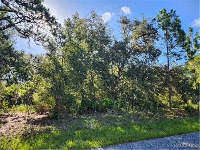 Don't miss out on the opportunity to build your Dream home on on Citrus Springs Country Club in Florida - for sale on GolfHomes.com, golf home, golf lot