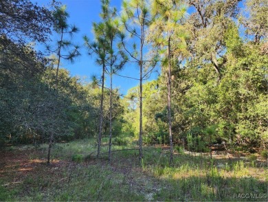 Don't miss out on the opportunity to build your Dream home on on Citrus Springs Country Club in Florida - for sale on GolfHomes.com, golf home, golf lot