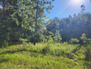 Don't miss out on the opportunity to build your Dream home on on Citrus Springs Country Club in Florida - for sale on GolfHomes.com, golf home, golf lot