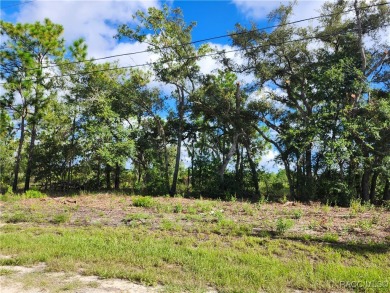 Don't miss out on the opportunity to build your Dream home on on Citrus Springs Country Club in Florida - for sale on GolfHomes.com, golf home, golf lot