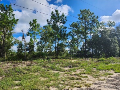 Don't miss out on the opportunity to build your Dream home on on Citrus Springs Country Club in Florida - for sale on GolfHomes.com, golf home, golf lot
