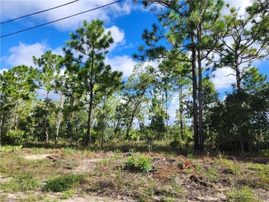 Don't miss out on the opportunity to build your Dream home on on Citrus Springs Country Club in Florida - for sale on GolfHomes.com, golf home, golf lot