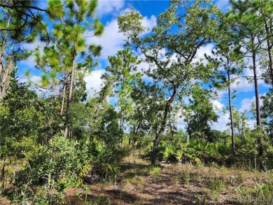 Don't miss out on the opportunity to build your Dream home on on Citrus Springs Country Club in Florida - for sale on GolfHomes.com, golf home, golf lot