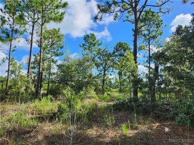 Don't miss out on the opportunity to build your Dream home on on Citrus Springs Country Club in Florida - for sale on GolfHomes.com, golf home, golf lot