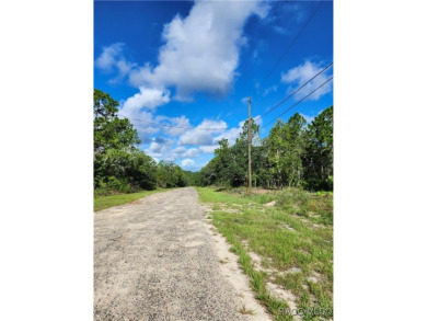Don't miss out on the opportunity to build your Dream home on on Citrus Springs Country Club in Florida - for sale on GolfHomes.com, golf home, golf lot