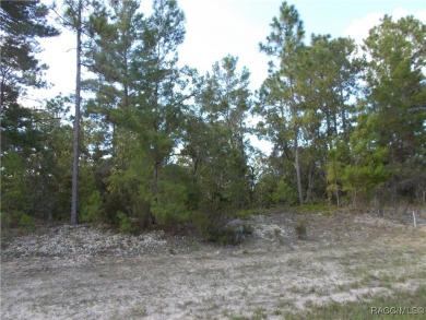 SUPER 1.04 BUILDING SITE LOCATED IN THE HEART OF PINE RIDGE on Pine Ridge Community Golf and Country Club in Florida - for sale on GolfHomes.com, golf home, golf lot