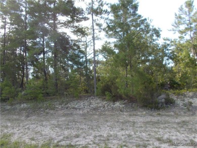 SUPER 1.04 BUILDING SITE LOCATED IN THE HEART OF PINE RIDGE on Pine Ridge Community Golf and Country Club in Florida - for sale on GolfHomes.com, golf home, golf lot