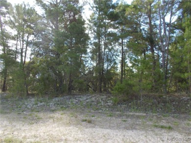 NICE HIGH & DRY 1.04 ACRE BUILDING LOT LOCATED IN THE CENTER OF on Pine Ridge Community Golf and Country Club in Florida - for sale on GolfHomes.com, golf home, golf lot