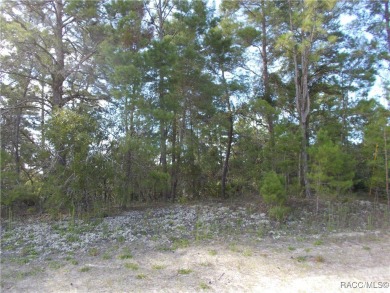 NICE HIGH & DRY 1.04 ACRE BUILDING LOT LOCATED IN THE CENTER OF on Pine Ridge Community Golf and Country Club in Florida - for sale on GolfHomes.com, golf home, golf lot