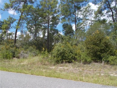 NICE BUILDING LOT LOCATED IN THE HEART OF CITRUS SPRINGS A GOLF on Citrus Springs Country Club in Florida - for sale on GolfHomes.com, golf home, golf lot