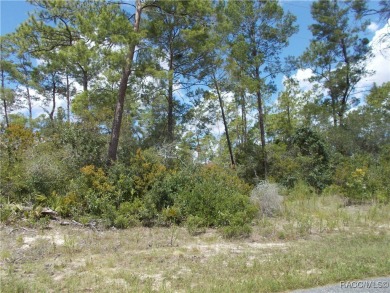 NICE BUILDING LOT LOCATED IN THE HEART OF CITRUS SPRINGS A GOLF on Citrus Springs Country Club in Florida - for sale on GolfHomes.com, golf home, golf lot