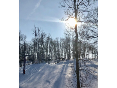 Beautiful spacious lot, on Forest Highlands, nestled in the on Cedar River Golf Course in Michigan - for sale on GolfHomes.com, golf home, golf lot