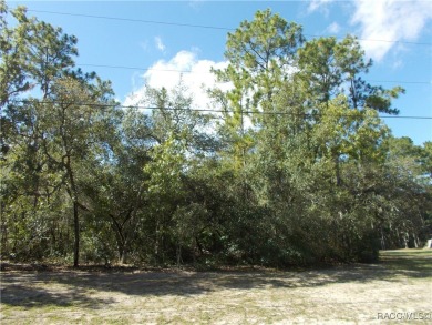 NICE BUILDING LOT LOCATED IN THE HEART OF CITRUS SPRINGS A GOLF on Citrus Springs Country Club in Florida - for sale on GolfHomes.com, golf home, golf lot