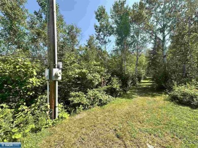 Nicely wooded 3-acre lot on dead-end private roadway with 150 on The Wilderness At Fortune Bay in Minnesota - for sale on GolfHomes.com, golf home, golf lot