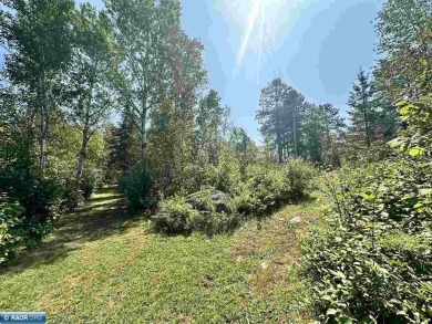 Nicely wooded 3-acre lot on dead-end private roadway with 150 on The Wilderness At Fortune Bay in Minnesota - for sale on GolfHomes.com, golf home, golf lot