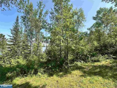 Nicely wooded 3-acre lot on dead-end private roadway with 150 on The Wilderness At Fortune Bay in Minnesota - for sale on GolfHomes.com, golf home, golf lot