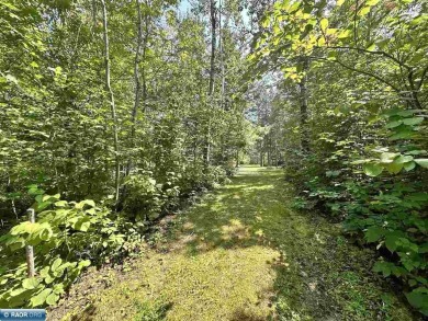 Nicely wooded 3-acre lot on dead-end private roadway with 150 on The Wilderness At Fortune Bay in Minnesota - for sale on GolfHomes.com, golf home, golf lot