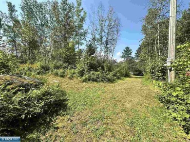 Nicely wooded 3-acre lot on dead-end private roadway with 150 on The Wilderness At Fortune Bay in Minnesota - for sale on GolfHomes.com, golf home, golf lot