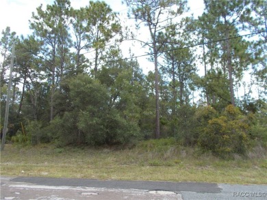 NICE BUILDING LOT LOCATED IN THE CENTER OF CITRUS SPRINGS. THIS on Citrus Springs Country Club in Florida - for sale on GolfHomes.com, golf home, golf lot