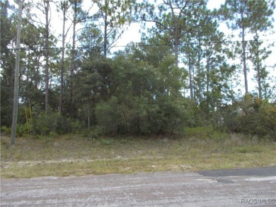 NICE BUILDING LOT LOCATED IN THE CENTER OF CITRUS SPRINGS. THIS on Citrus Springs Country Club in Florida - for sale on GolfHomes.com, golf home, golf lot