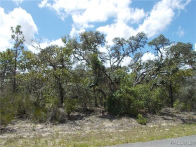 GREAT BUILDING LOT LOCATED IN THE GOLF COURSE COMMUNITY OF on Citrus Springs Country Club in Florida - for sale on GolfHomes.com, golf home, golf lot