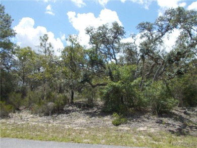 GREAT BUILDING LOT LOCATED IN THE GOLF COURSE COMMUNITY OF on Citrus Springs Country Club in Florida - for sale on GolfHomes.com, golf home, golf lot