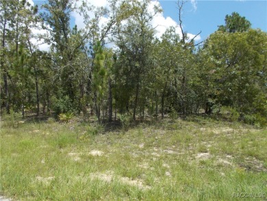 NICE BUILDING LOT LOCATED IN THE GOLF COURSE COMMUNITY OF CITRUS on Citrus Springs Country Club in Florida - for sale on GolfHomes.com, golf home, golf lot