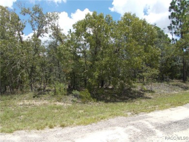 NICE BUILDING LOT LOCATED IN THE GOLF COURSE COMMUNITY OF CITRUS on Citrus Springs Country Club in Florida - for sale on GolfHomes.com, golf home, golf lot