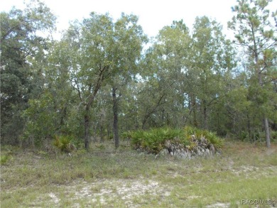 NICE BUILDING LOT LOCATED IN THE CENTER OF CITRUS SPRINGS A GOLF on Citrus Springs Country Club in Florida - for sale on GolfHomes.com, golf home, golf lot