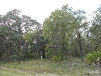 NICE BUILDING LOT LOCATED IN THE CENTER OF CITRUS SPRINGS A GOLF on Citrus Springs Country Club in Florida - for sale on GolfHomes.com, golf home, golf lot