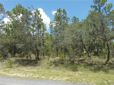 NICE BUILDING LOT LOCATED IN THE GOLF COURSE COMMUNITY OF CITRUS on Citrus Springs Country Club in Florida - for sale on GolfHomes.com, golf home, golf lot