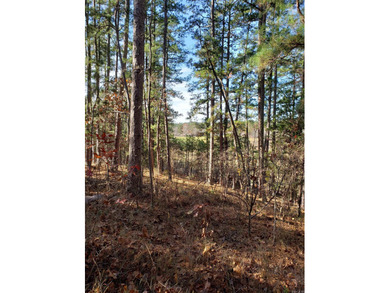 BEAUTIFUL LOT LOCATED ON A CUL-DE-SAC. VIEW OF BALBOA GOLF on Balboa Golf Course in Arkansas - for sale on GolfHomes.com, golf home, golf lot