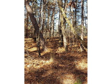 BEAUTIFUL LOT LOCATED ON A CUL-DE-SAC. VIEW OF BALBOA GOLF on Balboa Golf Course in Arkansas - for sale on GolfHomes.com, golf home, golf lot