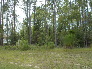 GREAT BUILDING LOT LOCATED IN THE CENTER OF CITRUS SPRINGS A on Citrus Springs Country Club in Florida - for sale on GolfHomes.com, golf home, golf lot