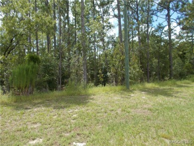 GREAT BUILDING LOT LOCATED IN THE CENTER OF CITRUS SPRINGS A on Citrus Springs Country Club in Florida - for sale on GolfHomes.com, golf home, golf lot