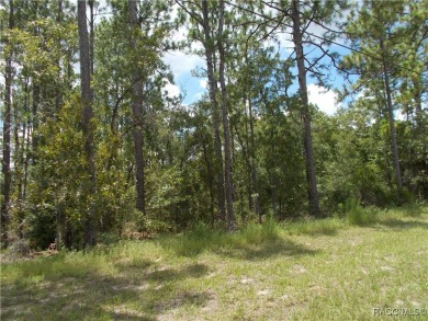 NICE BUILDING LOT LOCATED IN THE HEART OF CITRUS SPRINGS A GOLF on Citrus Springs Country Club in Florida - for sale on GolfHomes.com, golf home, golf lot