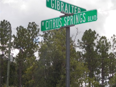 NICE BUILDING LOT LOCATED IN THE HEART OF CITRUS SPRINGS A GOLF on Citrus Springs Country Club in Florida - for sale on GolfHomes.com, golf home, golf lot