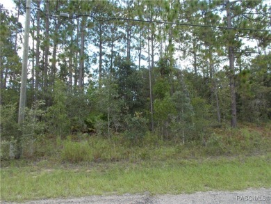 NICE BUILDING LOT LOCATED IN THE HEART OF CITRUS SPRINGS A GOLF on Citrus Springs Country Club in Florida - for sale on GolfHomes.com, golf home, golf lot